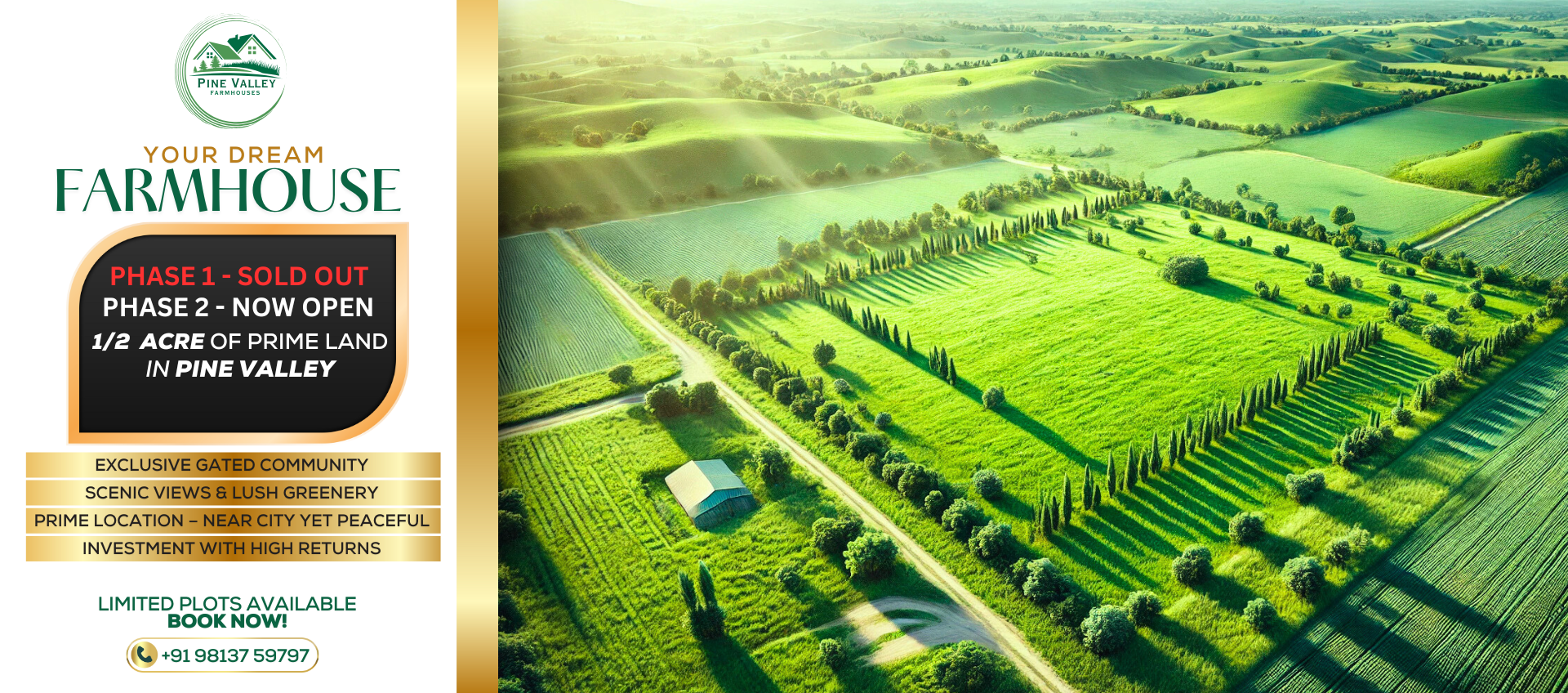 pine valley banner (2)