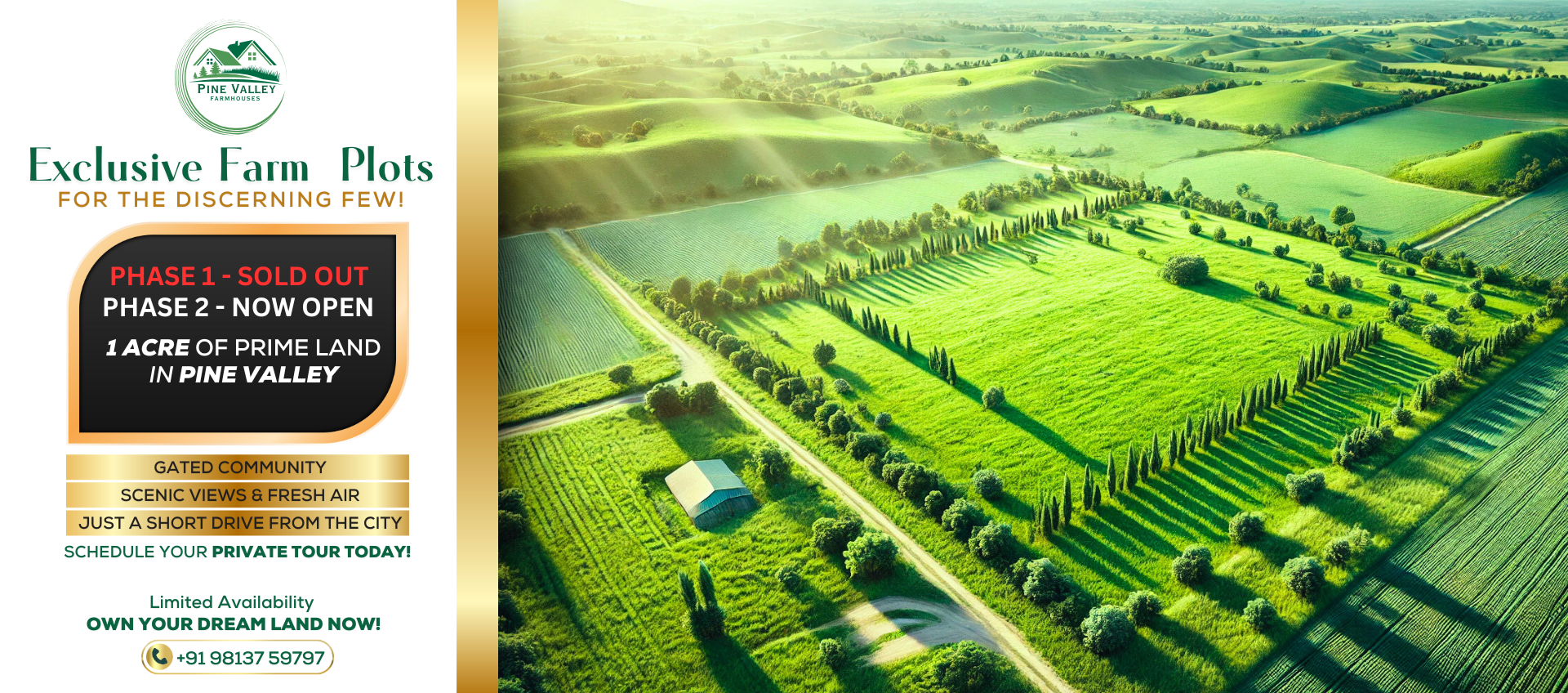 pine valley banner (3)